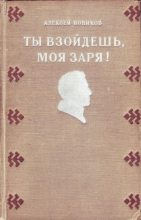 Книга - Алексей Никандрович Новиков - Ты взойдешь, моя заря! (fb2) читать без регистрации
