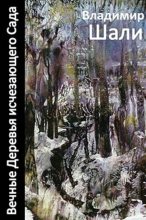 Книга - Владимир  Шали - Вечные деревья исчезающего сада-2 (сборник) (fb2) читать без регистрации
