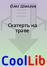 Книга - Олег  Шмелев - Скатерть на траве (fb2) читать без регистрации