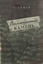 Книга - Белла Абрамовна Дижур - Волокнистый камень (fb2) читать без регистрации