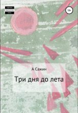 Книга - А.  Сажин - Три дня до лета (fb2) читать без регистрации
