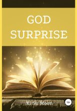 Книга - Ki Su Moon - God Surprise (fb2) читать без регистрации