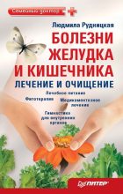 Книга - Людмила  Рудницкая - Болезни желудка и кишечника: лечение и очищение (fb2) читать без регистрации