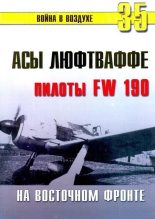 Книга - С. В. Иванов - Асы люфтваффе пилоты Fw 190 на Восточном фронте (fb2) читать без регистрации