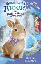 Книга - Дейзи  Медоус - Крольчонок Люси, или Волшебная встреча (fb2) читать без регистрации