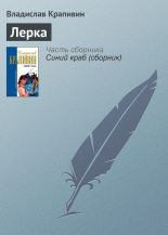 Книга - Владислав Петрович Крапивин - Лерка (fb2) читать без регистрации