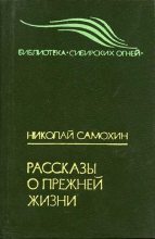Книга - Николай Яковлевич Самохин - Е-два, Е-четыре [Е-2, Е-4] (fb2) читать без регистрации
