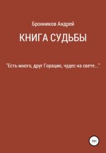 Книга - Андрей Эдуардович Бронников - Книга судьбы (fb2) читать без регистрации