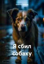 Книга - Наталия  Урликова - Я сбил собаку (fb2) читать без регистрации