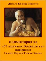 Книга - Дильго  Кьенце - Комментарий на «37 практик Бодхисаттв» (fb2) читать без регистрации