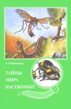 Книга - Виктор Степанович Гребенников - Тайны мира насекомых (fb2) читать без регистрации