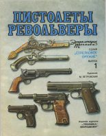Книга - Юрий Владимирович Шокарев - Пистолеты, револьверы (fb2) читать без регистрации