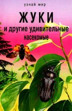 Книга - Сергей Юрьевич Афонькин - Жуки и другие удивительные насекомые (fb2) читать без регистрации