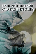 Книга - Валерий  Петков - Старая ветошь (fb2) читать без регистрации