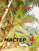 Книга - Валерий  Чащин - Мастер 4 (СИ) (fb2) читать без регистрации