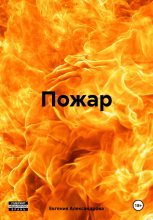 Книга - Евгения Александровна Александрова - Пожар (fb2) читать без регистрации