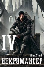 Книга - Shin Stark - Вы призвали… некроманта! Том 4 (fb2) читать без регистрации