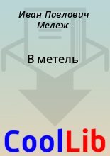 Книга - Иван Павлович Мележ - В метель (fb2) читать без регистрации