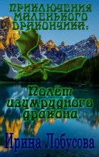 Книга - Ирина  Лобусова - Приключения маленького дракончика. Полет изумрудного дракона (fb2) читать без регистрации
