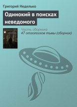 Книга - Григорий Андреевич Неделько - Одинокий в поисках неведомого (fb2) читать без регистрации
