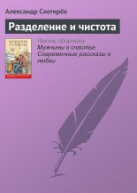 Книга - Александр  Снегирев - Разделение и чистота (fb2) читать без регистрации