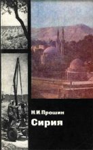 Книга - Николай Ильич Прошин - Сирия (fb2) читать без регистрации