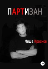 Книга - Миша  Краснов - Партизан (fb2) читать без регистрации