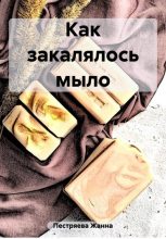 Книга - Жанна  Пестряева - Как закалялось мыло (fb2) читать без регистрации