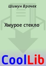 Книга - Шимун  Врочек - Хмурое стекло (fb2) читать без регистрации