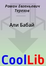 Книга - Роман Евгеньевич Терехов - Али Бабай (fb2) читать без регистрации
