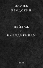 Книга - Иосиф Александрович Бродский - Пейзаж с наводнением (fb2) читать без регистрации
