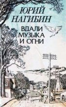 Книга - Юрий Маркович Нагибин - В гостях не дома (fb2) читать без регистрации