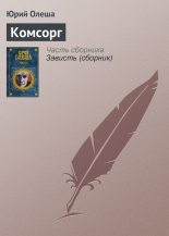 Книга - Юрий Карлович Олеша - Комсорг (fb2) читать без регистрации