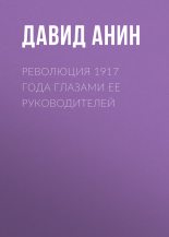 Книга - Давид Сергеевич Анин - Революция 1917 года глазами ее руководителей (fb2) читать без регистрации