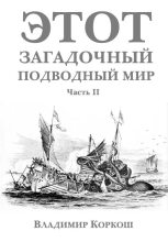 Книга - Владимир Васильевич Коркош (Korkosh) - Этот загадочный подводный мир. Часть 2 (fb2) читать без регистрации