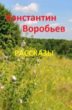 Книга - Константин Дмитриевич Воробьёв - Рассказы (fb2) читать без регистрации