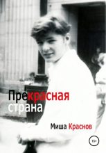 Книга - Миша  Краснов - Прекрасная страна (fb2) читать без регистрации