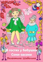 Книга - Валентина  Шабалина - В гостях у бабушки Сони-засони (fb2) читать без регистрации