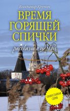 Книга - Владимир Григорьевич Колычев - Волчьи ягоды (fb2) читать без регистрации