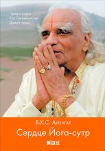 Книга - Беллур Кришнамачар Сундарараджа Айенгар - Сердце Йога-сутр (fb2) читать без регистрации