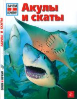 Книга - Витус Бернвард Дрешер - Акулы и скаты (pdf) читать без регистрации