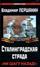 Книга - Владимир Николаевич Першанин - Сталинградская страда. «Ни шагу назад!» (fb2) читать без регистрации