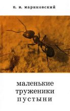 Книга - Павел Иустинович Мариковский - Маленькие труженики пустыни (fb2) читать без регистрации