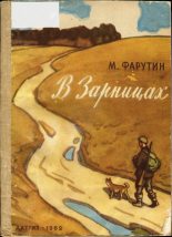 Книга - Михаил Никандрович Фарутин - В Зарницах (fb2) читать без регистрации