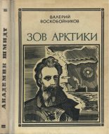 Книга - Валерий Михайлович Воскобойников - Зов Арктики (fb2) читать без регистрации