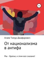Книга - Тимур Джафарович Агаев - От национализма в антифа (fb2) читать без регистрации
