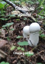 Книга - Рахиль  Гуревич - Охота на грибы (fb2) читать без регистрации