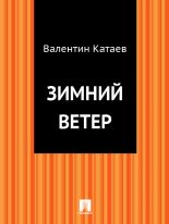 Книга - Валентин Петрович Катаев - Зимний ветер (fb2) читать без регистрации