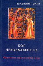 Книга - Владимир  Шали - Бог невозможного (fb2) читать без регистрации