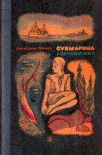 Книга - Александр Исаакович Мирер - Субмарина «Голубой кит» (fb2) читать без регистрации